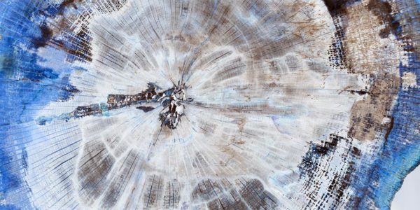 Wood Explosion | JD Dennison