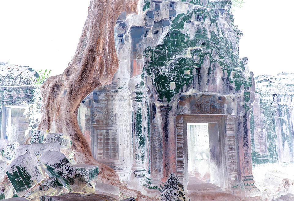 Angkor-Tree